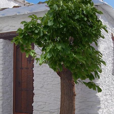 Вілла Casa El Rincon Del Angel Бубіон Номер фото