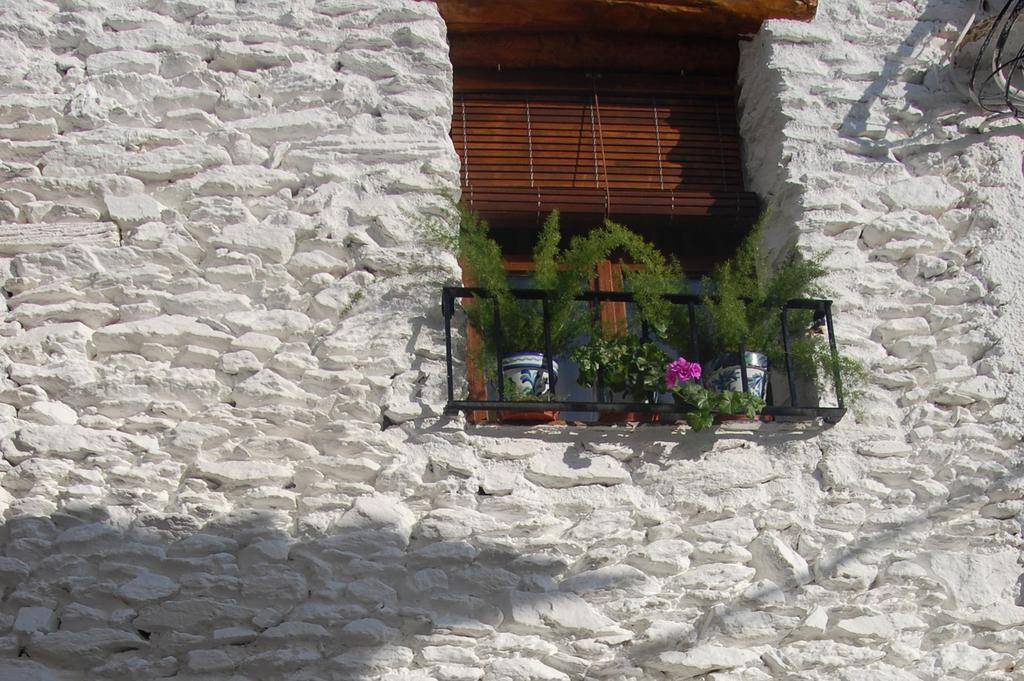 Вілла Casa El Rincon Del Angel Бубіон Номер фото